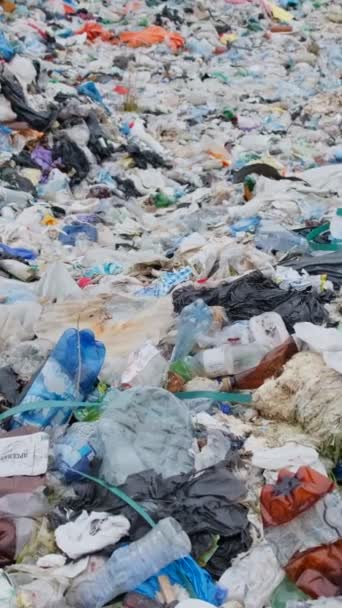 美国圣佩德罗被塑料垃圾污染的海滩Cabrillo海滩 世界上塑料废物的全球问题 垂直录像 — 图库视频影像