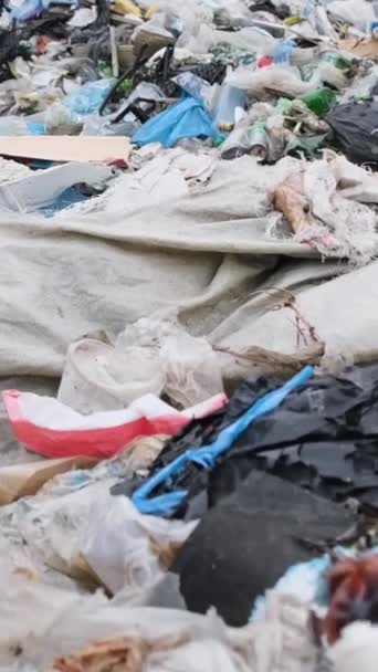 被塑料碎片污染的海滩 塑料废物 环境污染 环境灾难 垂直录像 — 图库视频影像