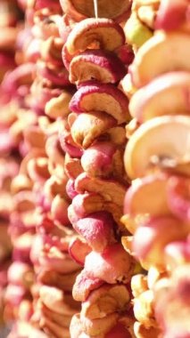 Renkli kurutulmuş elmalar bağcıklara tutunur. Elma pastili. Elmaları kurutuyorum. Kurutulmuş elmanın içindeki vitaminler. Dikey video