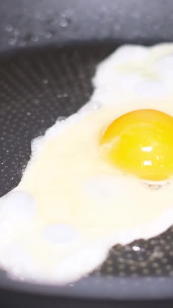 Jajko Smaży Się Patelni Podgrzanym Oleju Zdrowe Śniadanie Pionowe Wideo — Wideo stockowe