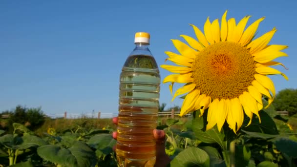 Die Hände Eines Modernen Bauern Halten Eine Flasche Sonnenblumenöl Vor — Stockvideo