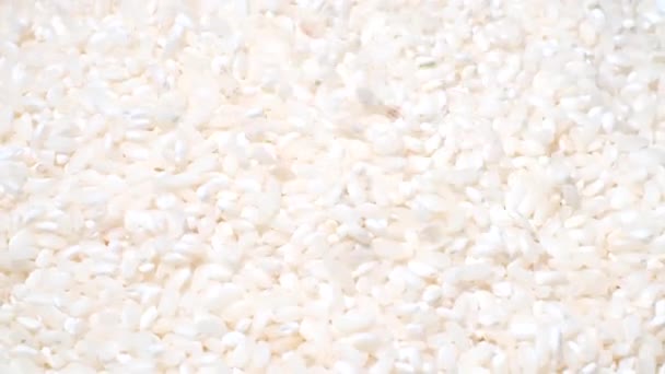 Bílá Nevařená Rýže Drolí Otáčí Kruhu Vaření Číně Svislé Video — Stock video