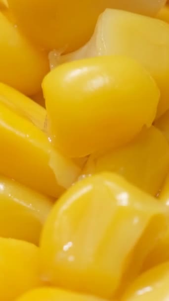 玉米种子烧焦了 大量的玉米粒在一个圆周内旋转 垂直录像 — 图库视频影像