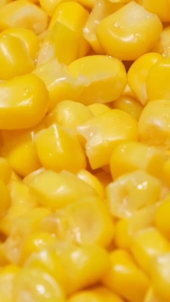 玉米种子旋转成圆圈的宏观录像 煮玉米的特写 垂直录像 — 图库视频影像