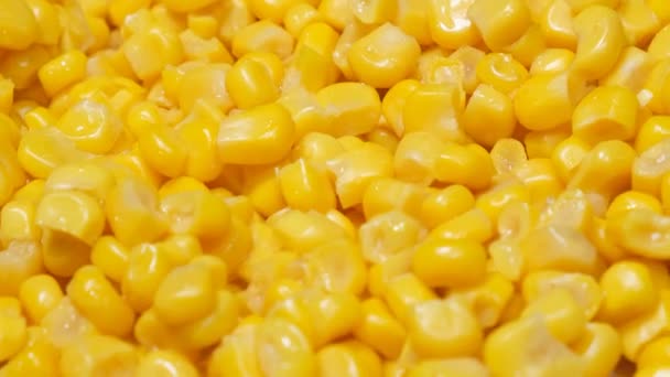 Makrovideo Von Maiskörnern Die Sich Kreis Drehen Nahaufnahme Gekochten Mais — Stockvideo