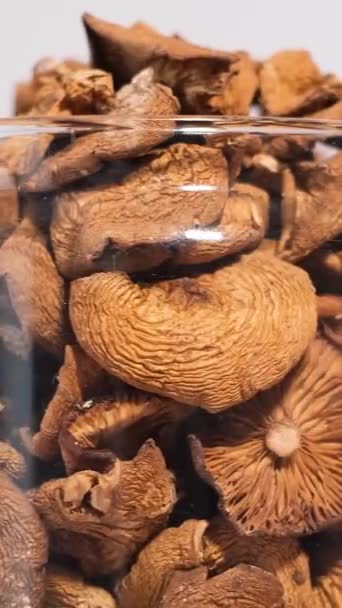 Hallucinogén Gombákból Származó Drogok Egy Üvegben Körbe Forognak Pszichoaktív Gombák — Stock videók