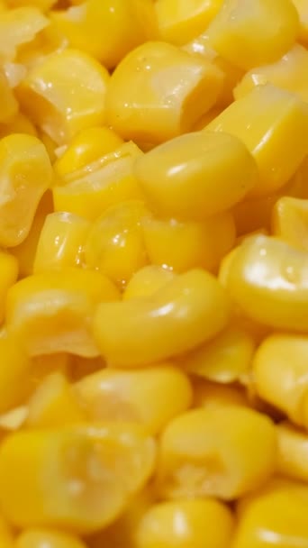 将煮熟的玉米种子旋转成一个圆圈 垂直录像 — 图库视频影像