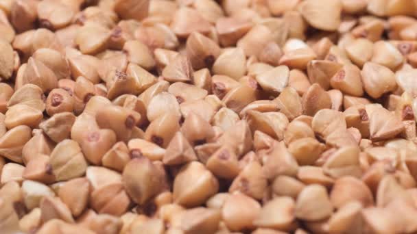 バックシートの種子がプレートに注がれているマクロビデオ フライドバック小麦の穀物 健康的な有機食品 上からの眺め バーティカルビデオ — ストック動画