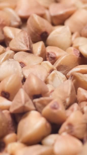 Μακρο Βίντεο Σπόρους Φαγόπυρου Χύνεται Ένα Πιάτο Τηγανητά Δημητριακά Υγιή — Αρχείο Βίντεο
