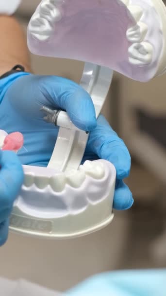Medico Utilizza Spazzolini Denti Modelli Denti Dimostrare Modo Corretto Lavarsi — Video Stock