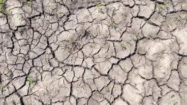 Dünya kuraklığı ve iklim değişikliği. Şiddetli kuraklıktan sonra kurumuş toprak. Dikey video.