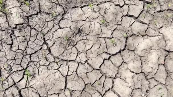 Земная Засуха Изменение Климата Сухая Трещина Почвы После Сильной Засухи — стоковое видео