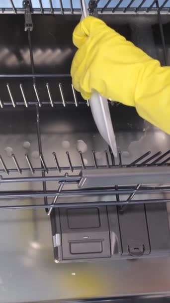Βίντεο Θηλυκό Χέρι Ελαστικά Γάντια Βάζει Λευκά Πιάτα Στο Πλυντήριο — Αρχείο Βίντεο
