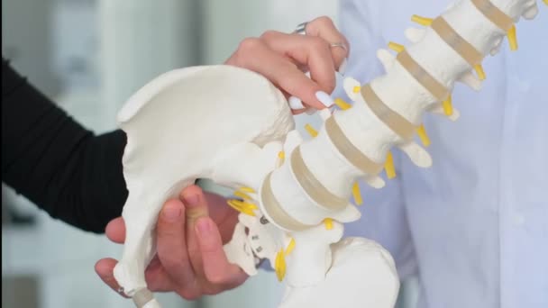 Doctor Shows Intervertebral Hernia Spine Table Problems Spine Vertical Video — Stock Video