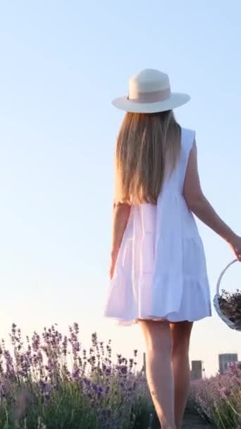 一个身材苗条的女人 身穿漂亮的白色衣服 头戴漂亮的帽子 提着篮子穿过薰衣草地 面对着蓝天 和你自己和谐相处 普罗旺斯薰衣草种植园垂直录像 — 图库视频影像