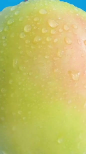 Красивое Большое Сочное Яблоко Голубом Фоне Макровидео Вертикальное Видео — стоковое видео