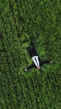 Yeşil çimlerin üzerinde sevimli tüylü tavuk. Dikey video.