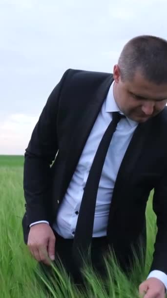 Mladý Pohledný Dobře Oblečený Obchodník Stojí Uprostřed Pole Zelené Pšenice — Stock video