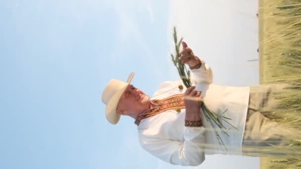 Ein Glücklicher Alter Ukrainischer Großvater Bestickter Jacke Hält Junge Weizenkeime — Stockvideo