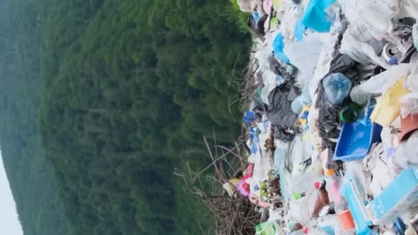 Aterro Para Resíduos Plásticos Meio Uma Floresta Verde Nos Cárpatos — Vídeo de Stock
