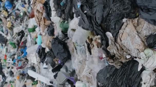 スリランカ プラスチック廃棄物で汚染されたビーチ インド洋におけるプラスチック廃棄物の世界的な問題 バーティカルビデオ — ストック動画