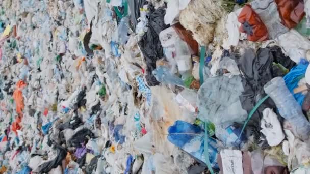 米国サンペドロのプラスチック廃棄物カブリョビーチで汚染されたビーチ 世界のプラスチック廃棄物問題 バーティカルビデオ — ストック動画