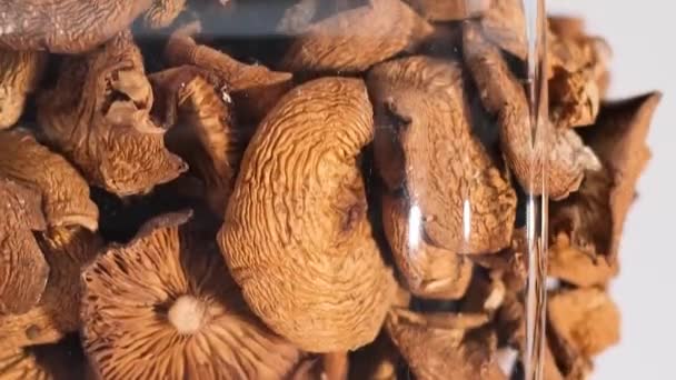 Les Drogues Provenant Champignons Hallucinogènes Dans Bocal Tournent Cercle Champignons — Video