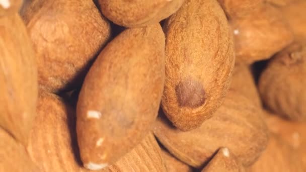 浅棕色杏仁坚果 皮薄细腻 坚果具有甜甜的坚果味 富含蛋白质 维生素 矿物质和健康脂肪 垂直录像 — 图库视频影像