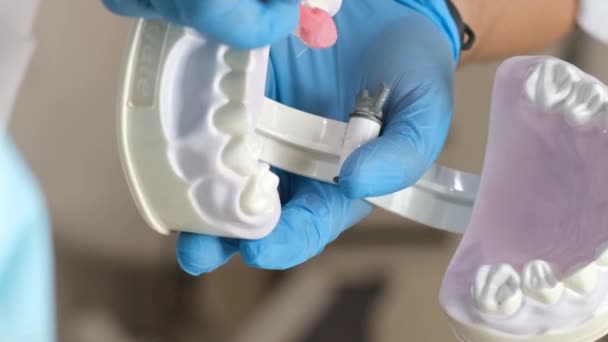 Lekarz Używa Szczoteczek Zębów Modeli Zębów Aby Zademonstrować Właściwy Sposób — Wideo stockowe