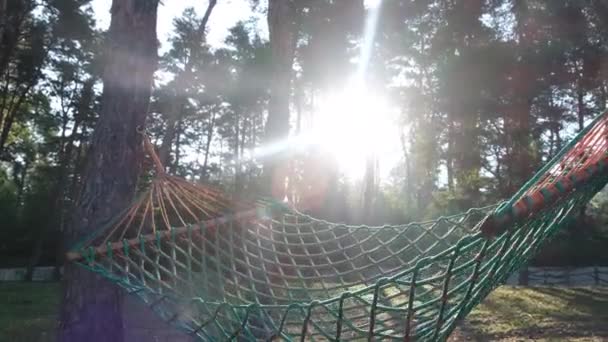 森の中のハモック 公園の自然の中で再生する バケーションコンセプト — ストック動画