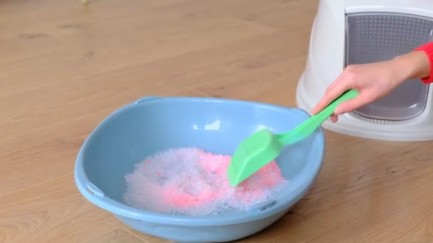 Pink Filler Cat Litter Woman Cleans Cat Tray — Stock Video