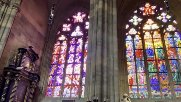 Präster Vitus Katedralen Sommaren Vacker Stad Prag Tjeckien — Stockvideo