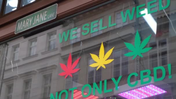 麻製品を販売する店 ヨーロッパでは医療用マリファナが許可されています — ストック動画