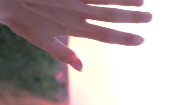 Μια Νεαρή Γυναίκα Κρατά Χέρι Της Ένα Όμορφο Ηλιοβασίλεμα Ένα — Αρχείο Βίντεο