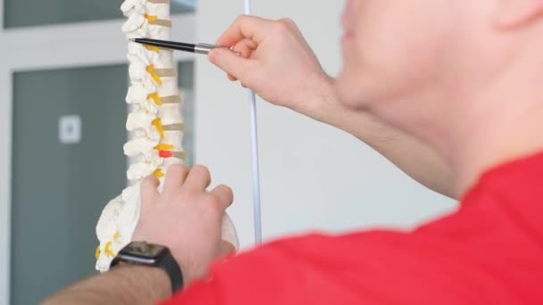 近视时 一位眩晕学家在骨骼模型上表现出脊柱问题 肌骨骼系统问题的可视化显示 — 图库视频影像