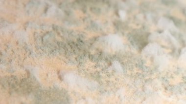 Küf, duvardaki küf renge boyanmış. Duvarda aşırı nemli mantar üretimi. Dikey video