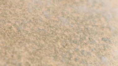 Kalıba yakın çekim, duvarda mantar. Aşırı nemli mantarın hızlı üremesi. Havalandırma zayıf. Yoğunlaş. Dikey video