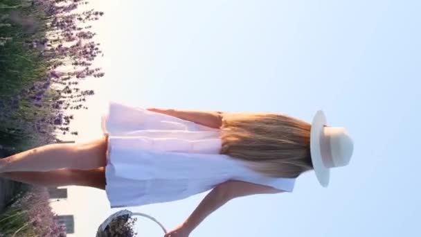 Струнка Жінка Красивій Білій Сукні Капелюсі Гуляє Кошиком Через Лавандове — стокове відео