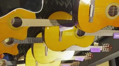 Müzik dükkanında geniş bir akustik gitar koleksiyonu. Telli müzik aletleri. Dikey video