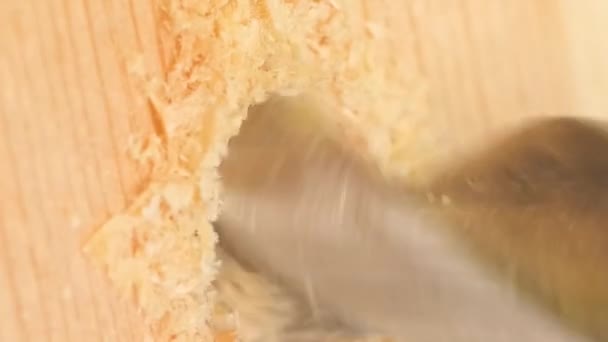 木の穴を掘る 木製板に穴を開けるパワーツールドリル バーティカルビデオ — ストック動画