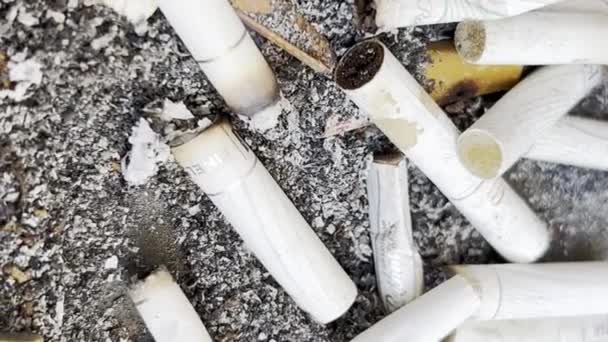 Cigarros Tabaco Fumado Cinzeiro Nicotina Local Público Fumaça Conceito Insalubre — Vídeo de Stock