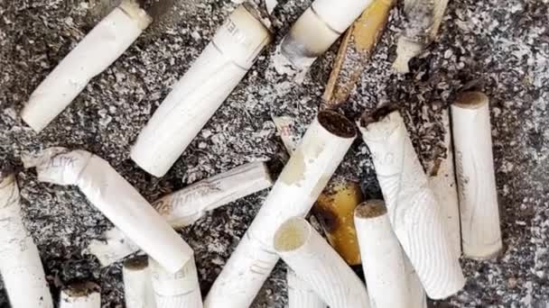 Miljöförstöring Med Cigarettfimpar Rökning Skadar Hälsan Depression Person Röker Mycket — Stockvideo