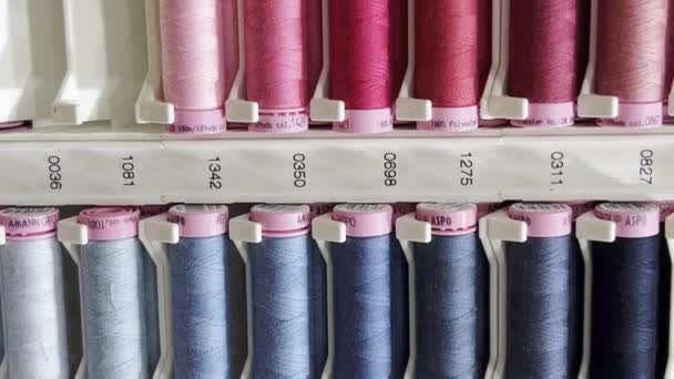 店の棚の多色の糸 縫うキット 専門の縫製店 バーティカルビデオ — ストック動画