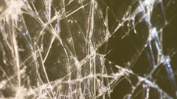 Nahaufnahme Von Zerbrochenem Glas Das Durch Weißes Licht Beleuchtet Wird — Stockvideo