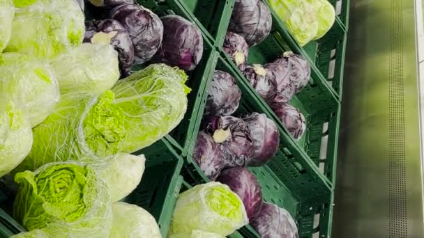 Diferentes Tipos Repollo Mercado Verduras Concepto Verduras Orgánicamente Puras Verduras — Vídeos de Stock