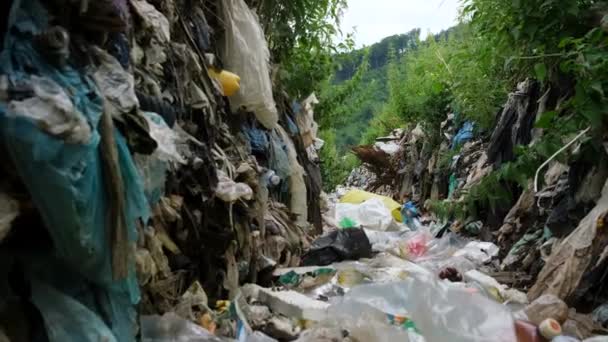 汚染され プラスチック廃棄物で川を乾燥させ 環境汚染と災害の概念を示しています ゴミの山々は自然のための生態学的な災害を象徴しています — ストック動画
