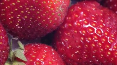 Çemberde dönen bir sürü olgun, kırmızı, sulu çilek. Çilek arkaplanı. Döndürme. Meyvelerin güzel kırmızı arkaplanı. Dikey video