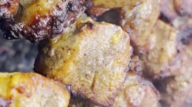 Açık havada ızgarada pişen sulu domuz kebabı. Ateşte et pişirmek. Dikey video