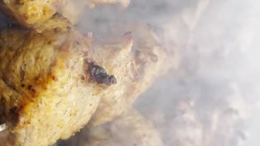 Izgarada domuz kızartması. Açık ateşte füme kebap. Kızarmış et. Dikey video.