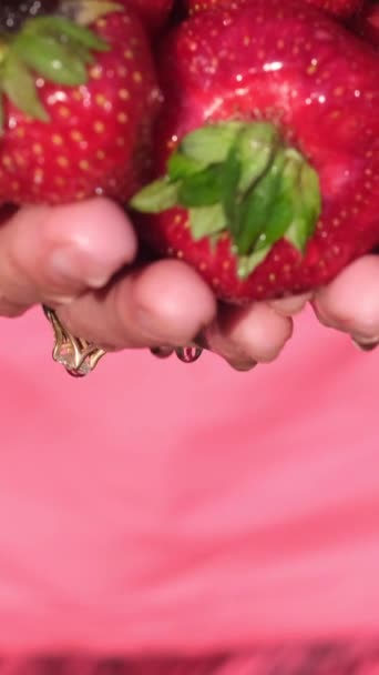 Een Stelletje Rijpe Verse Aardbeien Een Mans Hand Een Zonnige — Stockvideo